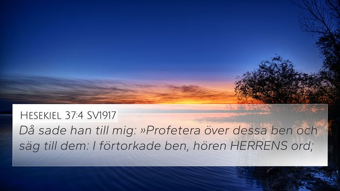 Hesekiel 37:4 SV1917 Bible Verse Image