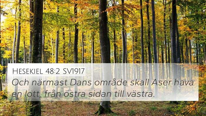 Hesekiel 48:2 SV1917 4K Wallpaper - Och närmast Dans område skall Aser hava en - 4K Wallpaper Bible Verse
