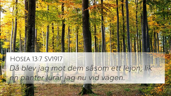 Hosea 13:7 SV1917 Bible Verse Image