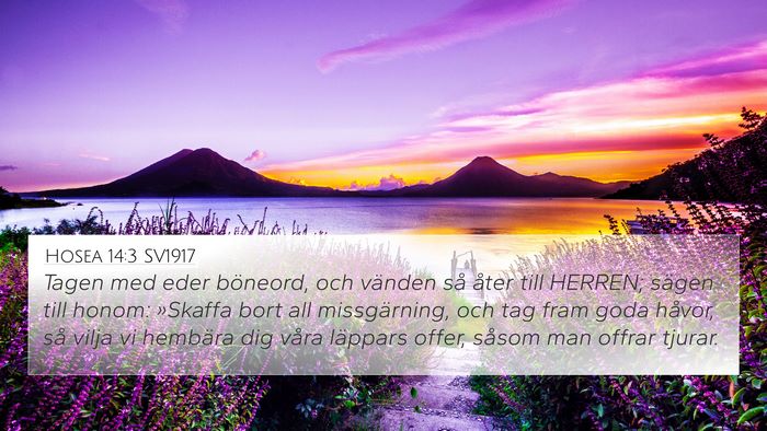 Hosea 14:3 SV1917 Bible Verse Image