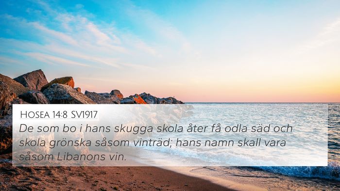 Hosea 14:8 SV1917 Bible Verse Image
