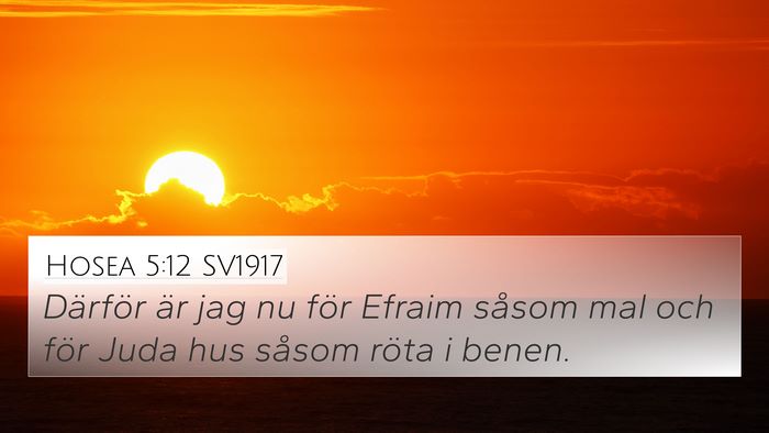 Hosea 5:12 SV1917 Bible Verse Image