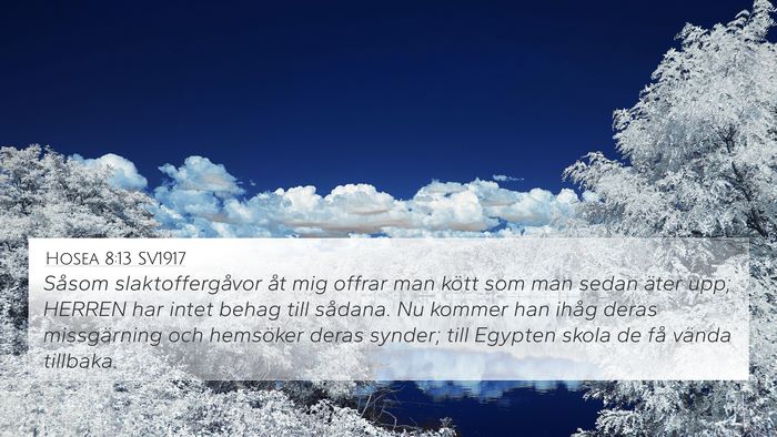 Hosea 8:13 SV1917 Bible Verse Image