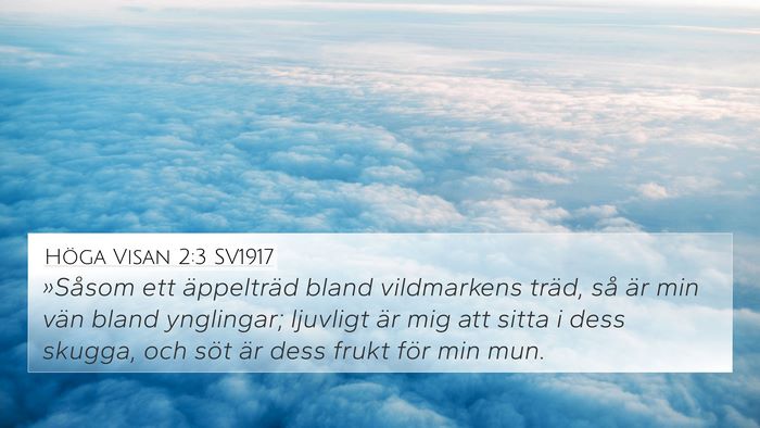 Höga Visan 2:3 SV1917 Bible Verse Image