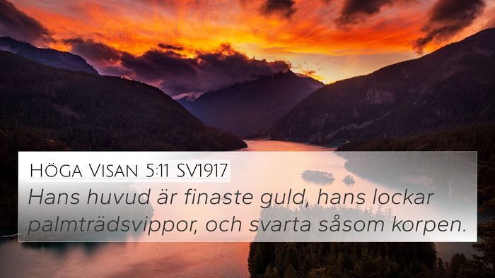 Höga Visan 5:11 SV1917 Bible Verse Image