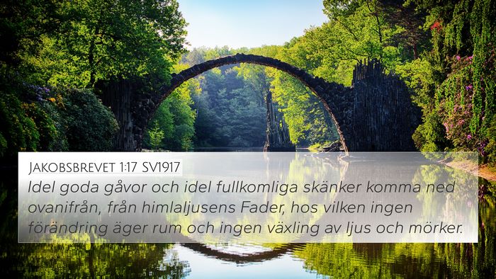 Jakobsbrevet 1:17 SV1917 Bible Verse Image