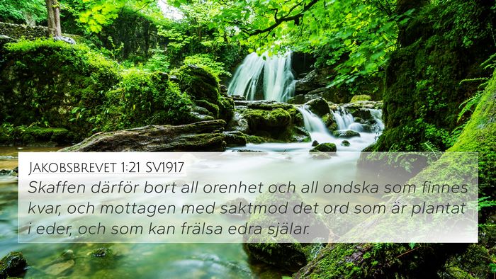 Jakobsbrevet 1:21 SV1917 4K Wallpaper - Skaffen därför bort all orenhet och all ondska - 4K Wallpaper Bible Verse