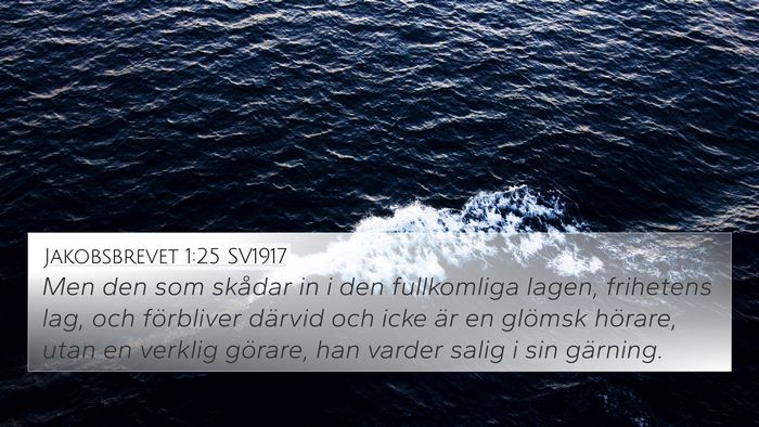 Jakobsbrevet 1:25 SV1917 Bible Verse Image