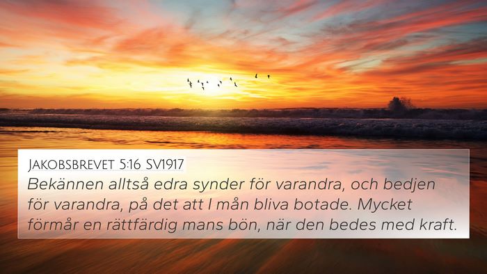 Jakobsbrevet 5:16 SV1917 Bible Verse Image