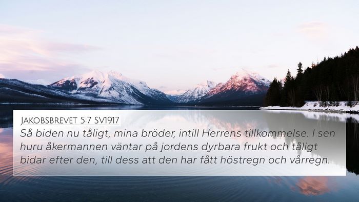 Jakobsbrevet 5:7 SV1917 Bible Verse Image