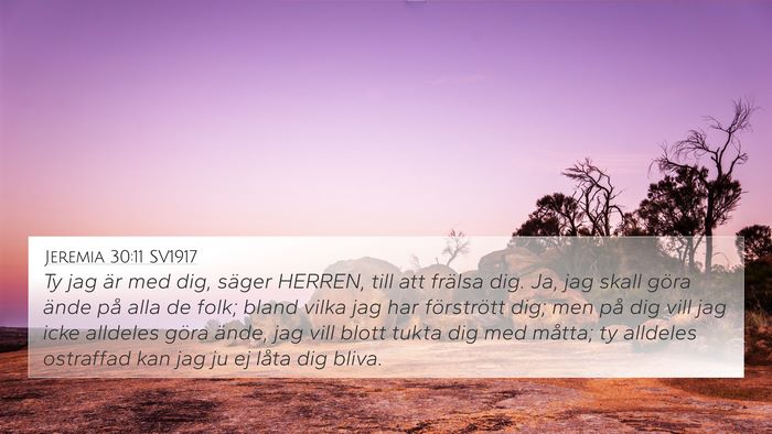Jeremia 30:11 SV1917 Bible Verse Image