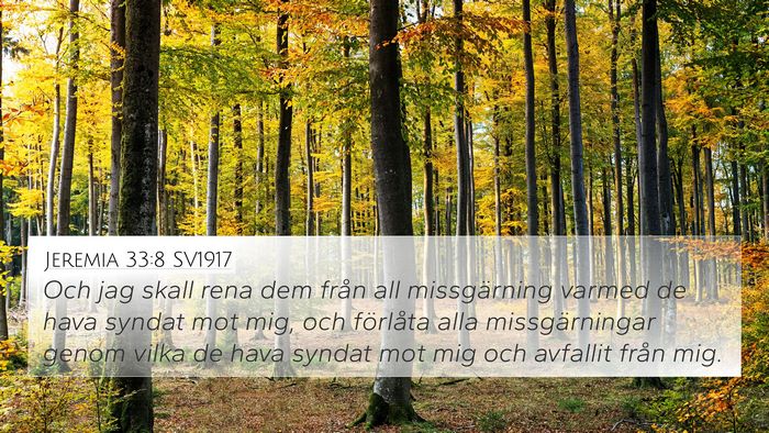 Jeremia 33:8 SV1917 Bible Verse Image