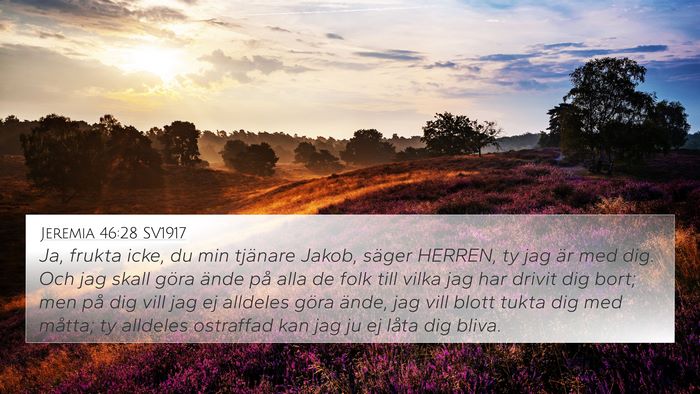 Jeremia 46:28 SV1917 Bible Verse Image