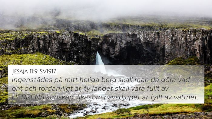 Jesaja 11:9 SV1917 Bible Verse Image