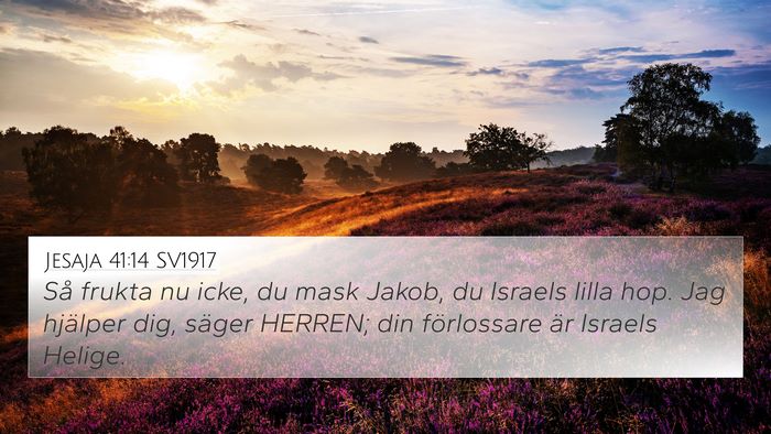 Jesaja 41:14 SV1917 Bible Verse Image