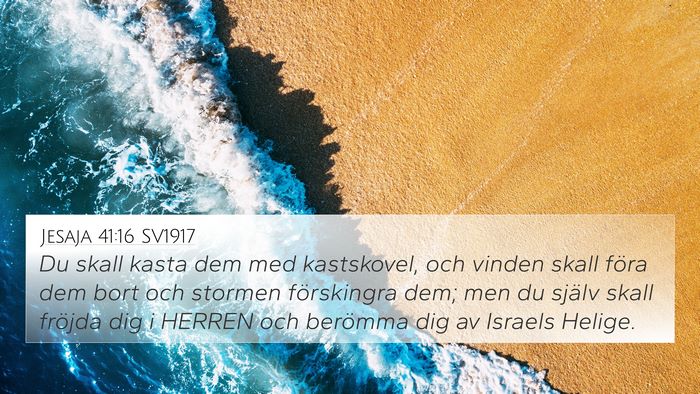 Jesaja 41:16 SV1917 Bible Verse Image