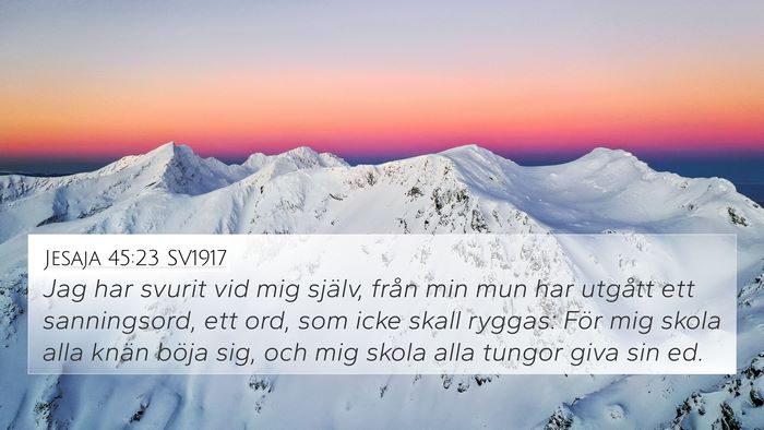 Jesaja 45:23 SV1917 Bible Verse Image