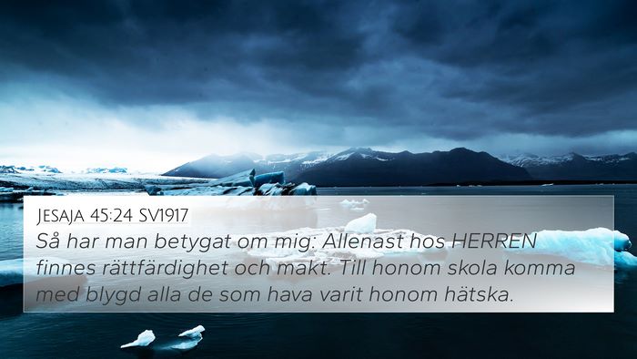 Jesaja 45:24 SV1917 Bible Verse Image