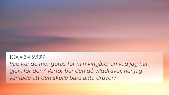 Jesaja 5:4 SV1917 Bible Verse Image