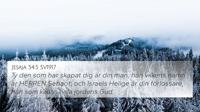 Jesaja 54:5 SV1917 Bible Verse Image