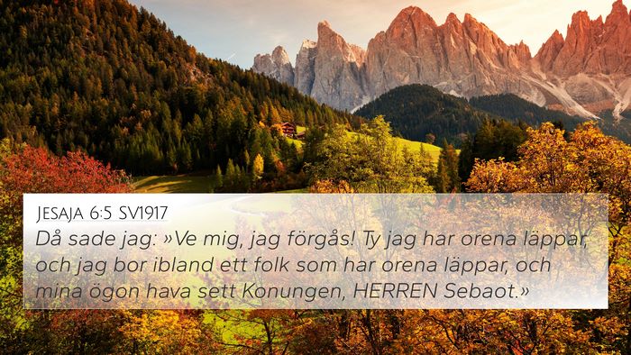 Jesaja 6:5 SV1917 Bible Verse Image