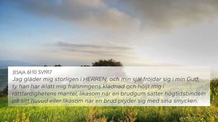 Jesaja 61:10 SV1917 Bible Verse Image