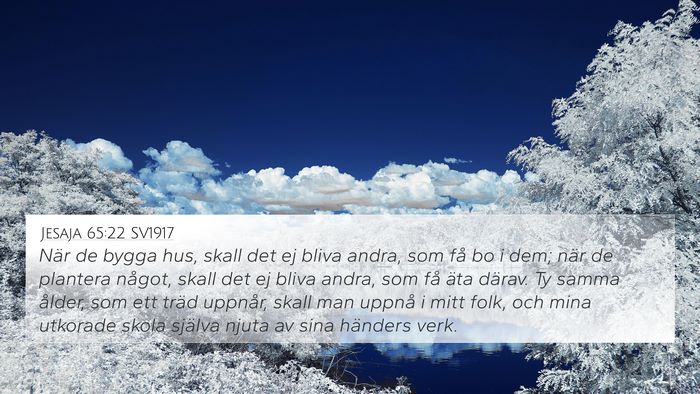 Jesaja 65:22 SV1917 Bible Verse Image