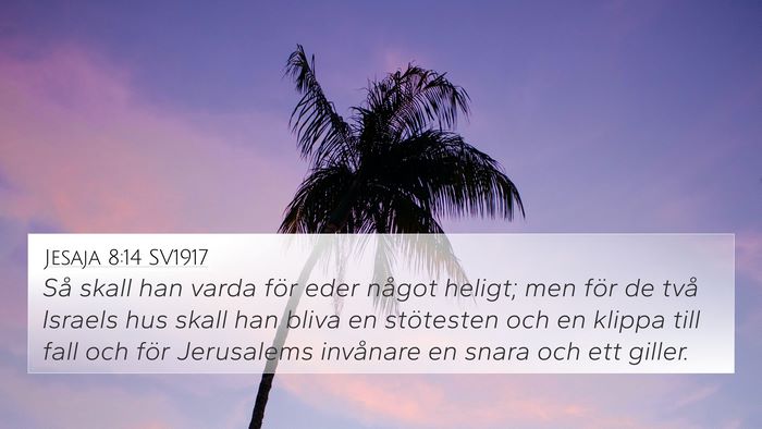 Jesaja 8:14 SV1917 Bible Verse Image