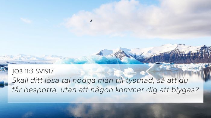 Job 11:3 SV1917 4K Wallpaper - Skall ditt lösa tal nödga män till tystnad, - 4K Wallpaper Bible Verse