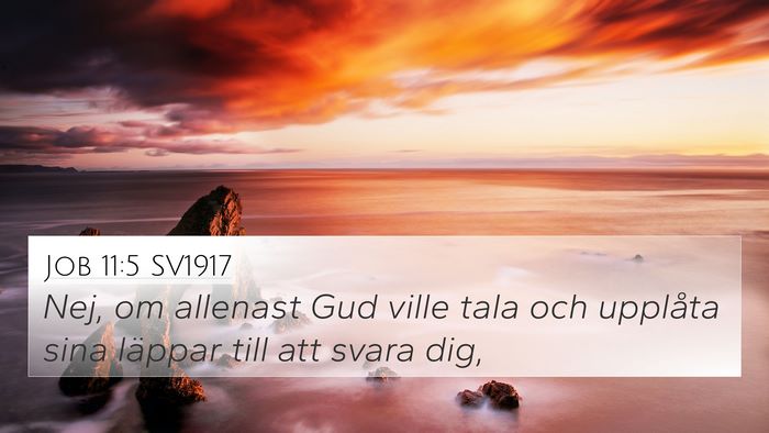 Job 11:5 SV1917 Bible Verse Image