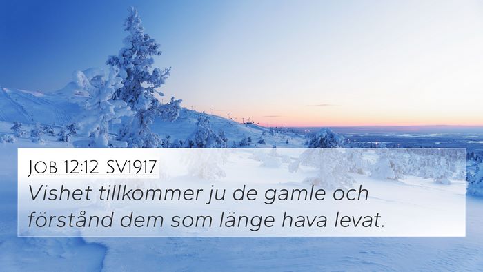 Job 12:12 SV1917 Bible Verse Image