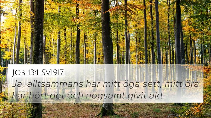 Job 13:1 SV1917 4K Wallpaper - Ja, alltsammans har mitt öga sett, mitt öra har - 4K Wallpaper Bible Verse