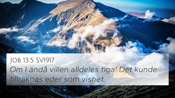 Job 13:5 SV1917 Bible Verse Image