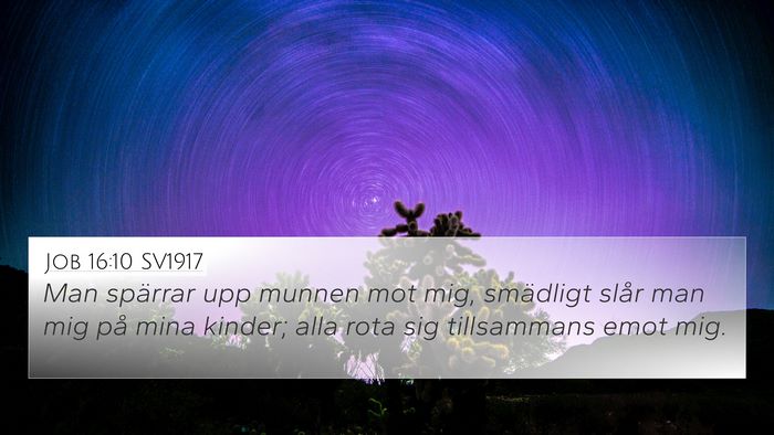 Job 16:10 SV1917 Bible Verse Image