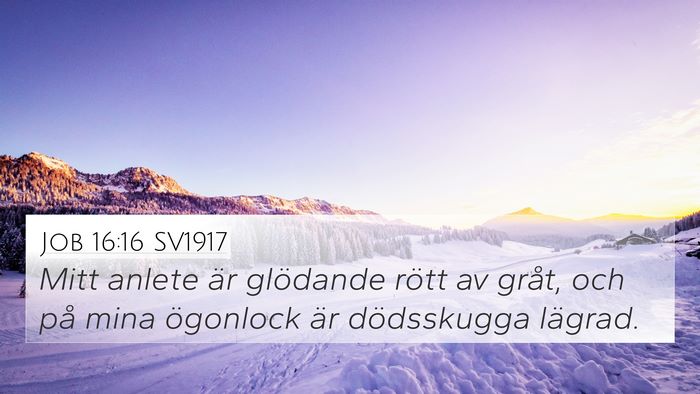 Job 16:16 SV1917 Bible Verse Image