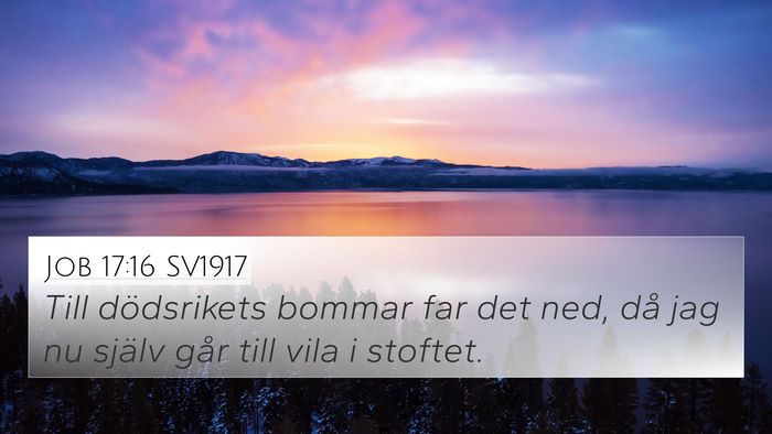 Job 17:16 SV1917 Bible Verse Image