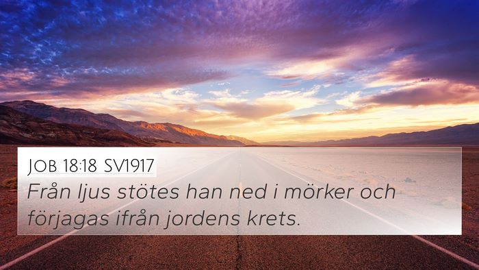 Job 18:18 SV1917 Bible Verse Image