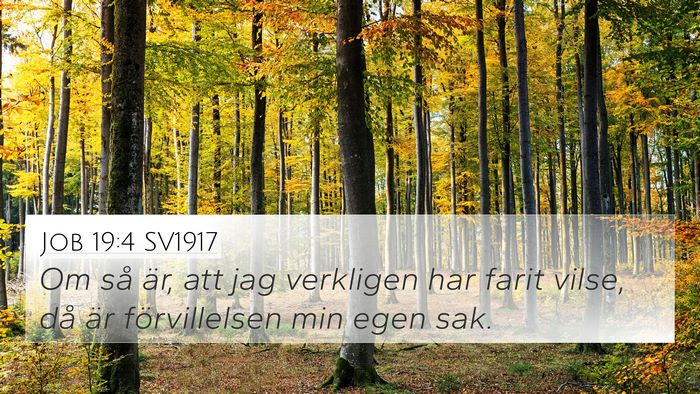 Job 19:4 SV1917 4K Wallpaper - Om så är, att jag verkligen har farit vilse, - 4K Wallpaper Bible Verse