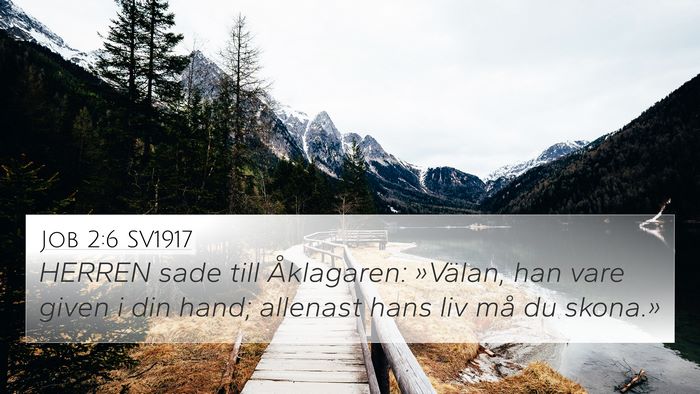 Job 2:6 SV1917 Bible Verse Image