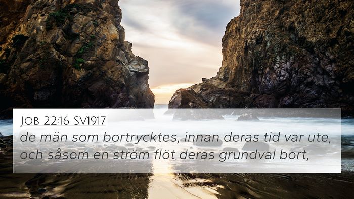 Job 22:16 SV1917 Bible Verse Image