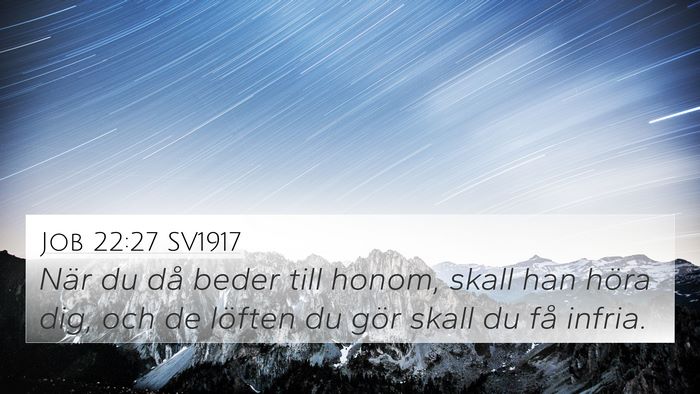 Job 22:27 SV1917 Bible Verse Image