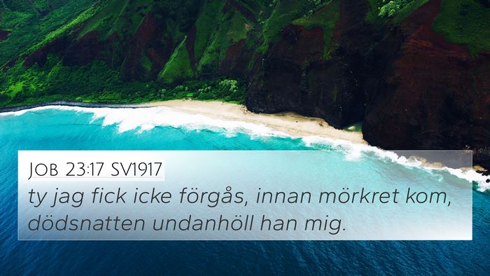 Job 23:17 SV1917 Bible Verse Image