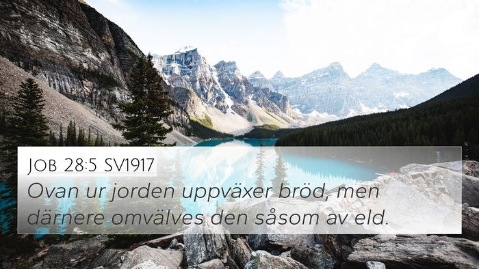 Job 28:5 SV1917 Bible Verse Image