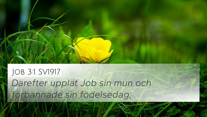 Job 3:1 SV1917 Bible Verse Image