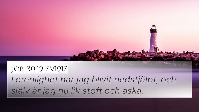 Job 30:19 SV1917 Bible Verse Image