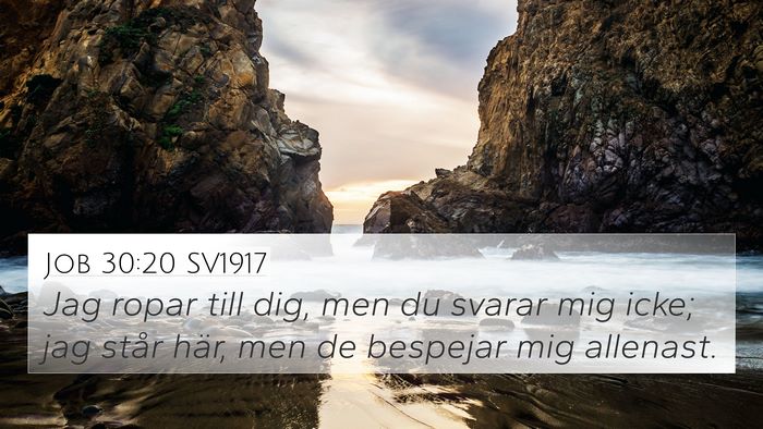 Job 30:20 SV1917 Bible Verse Image