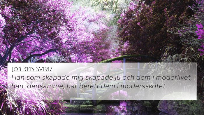 Job 31:15 SV1917 Bible Verse Image