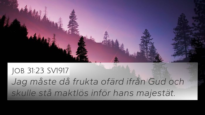 Job 31:23 SV1917 Bible Verse Image