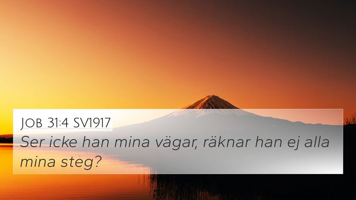 Job 31:4 SV1917 Bible Verse Image