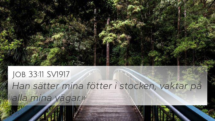 Job 33:11 SV1917 Bible Verse Image
